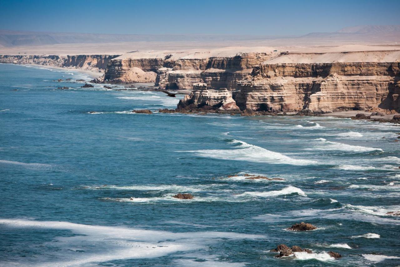 Ibis Styles Antofagasta Hotell Eksteriør bilde